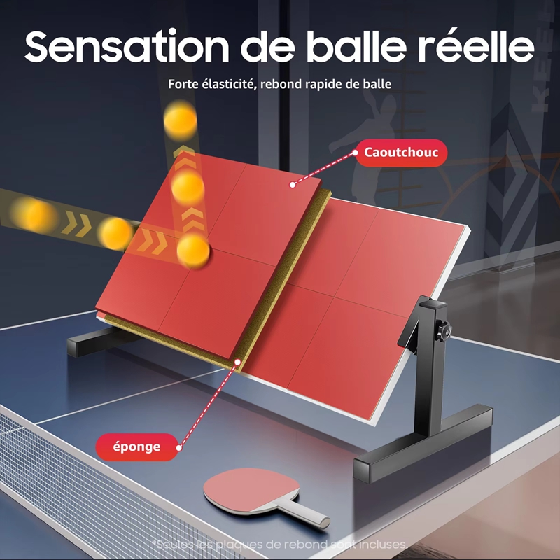 Desktop Table Tennis Rebound B - огляд і ціна Home Gym Training Program