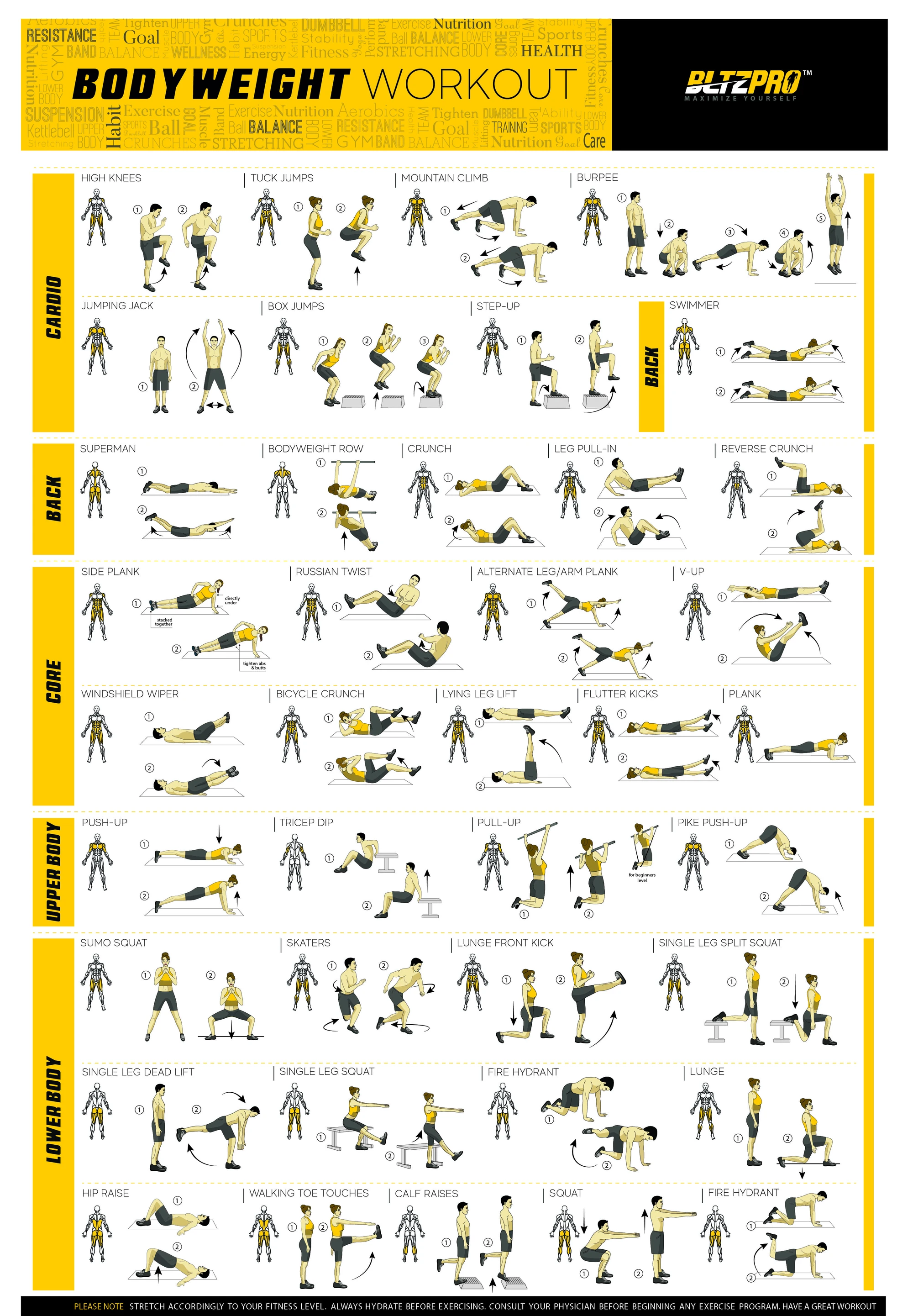 Bodyweight workout Exercise Bo - огляд і ціна Home Gym Guide